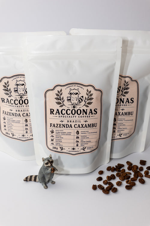 Brazil Fazenda Caxambu